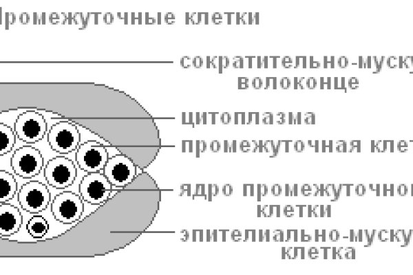 BlackSprut отзывы