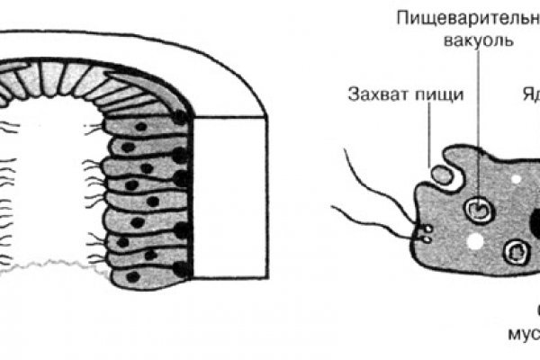 Блэкспрут закрылась