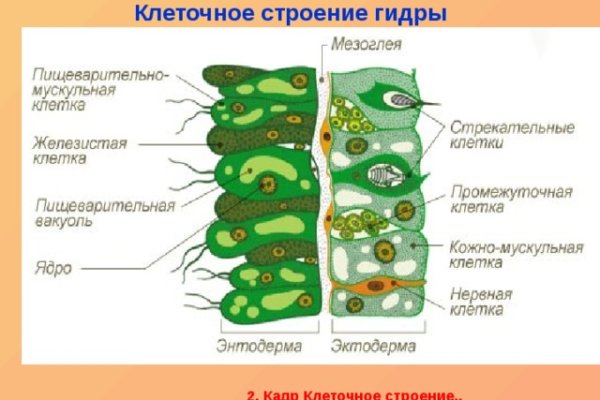 Mega сайт megaruzxpnew4af onion com