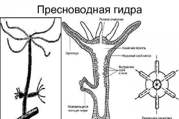 Обменники на блэкспрут перевод на альфа банк