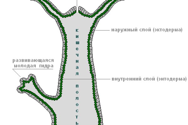 Омг вход ссылка онион