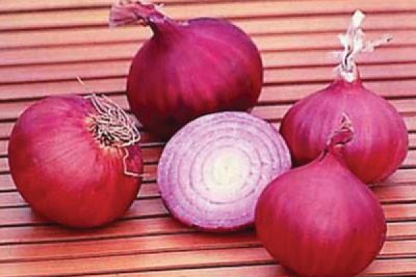 Kraken market onion