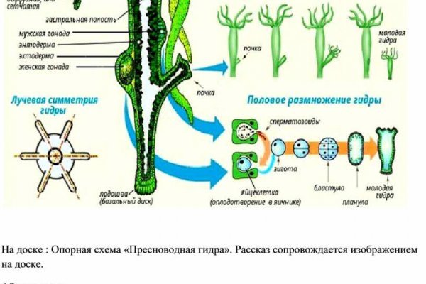 Как купить бесплатно на блэкспрут с телефона