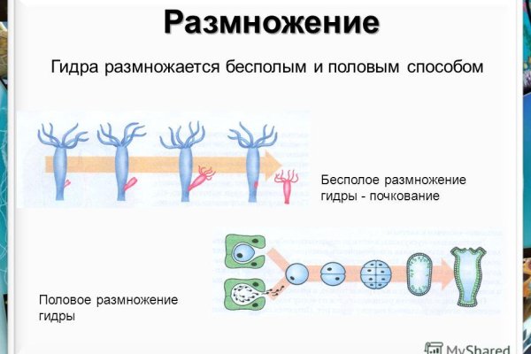 Как сделать покупку на меге