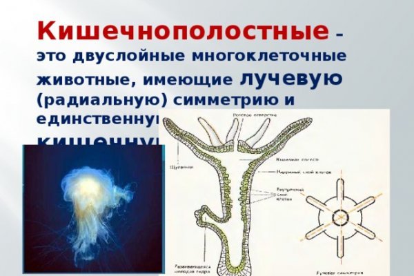 Ссылка на kraken зеркало рабочая